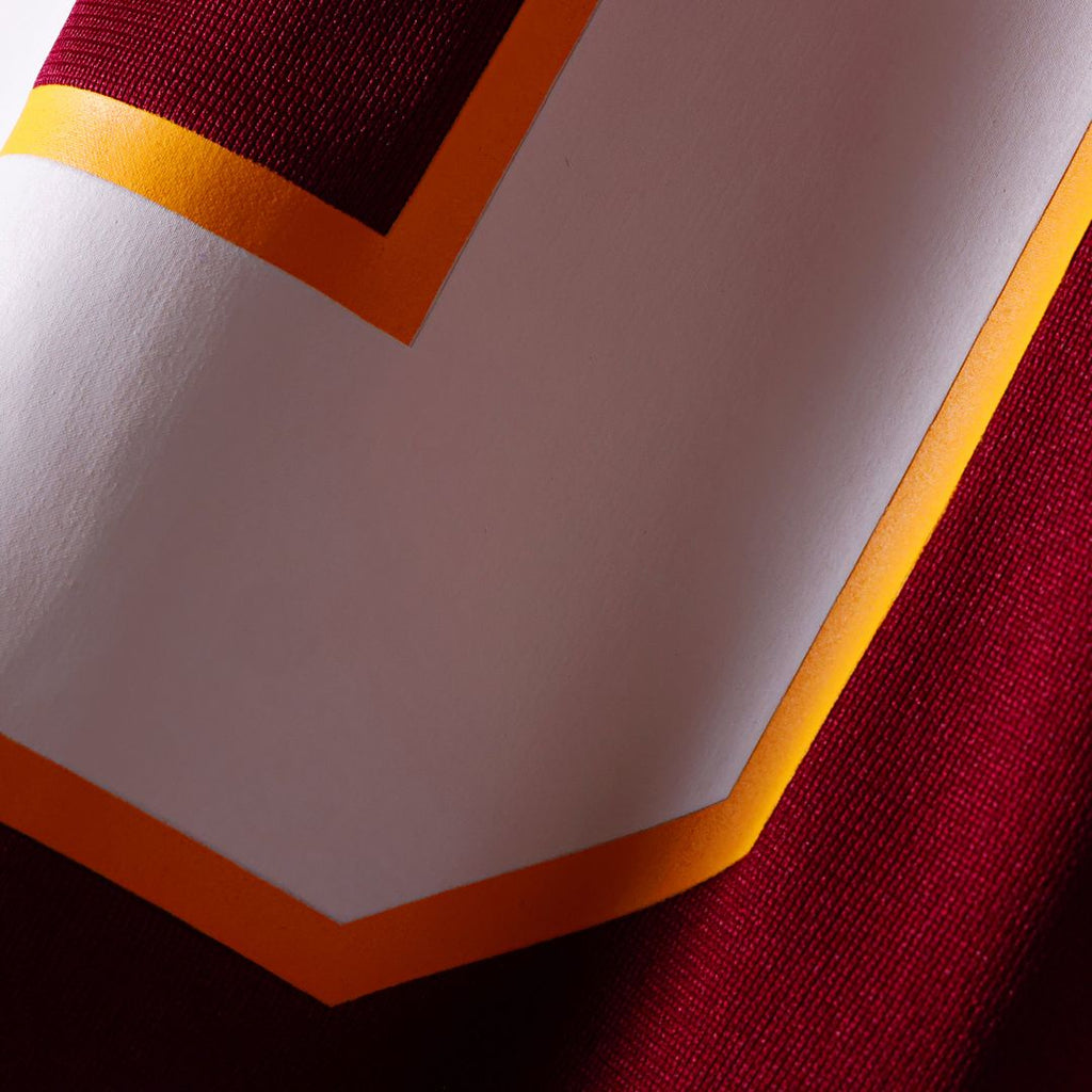 Washington Commanders Sean Taylor Nike Black Hail Raiser Alternate Retired Player Game Jersey